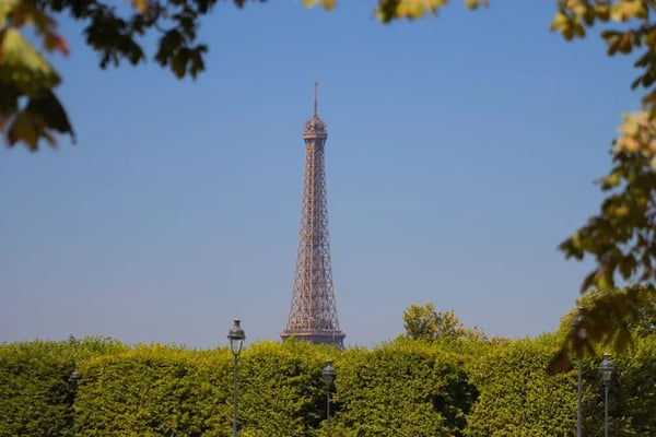 The Eiffel Tower in Paris viewed through surrounding trees